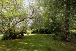 Garden- click for photo gallery